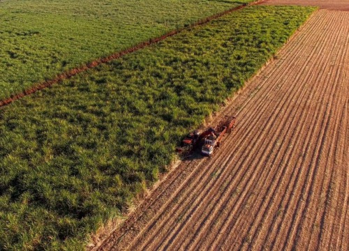 [Use cases] Agrotech: como inovar no agronegócio com soluções financeiras